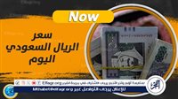عاجل - سعر الريال السعودي الرسمي في مصر ويسجل 12.52 جنيه