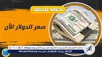 عاجل - آخر تحديث.. سعر الدولار اليوم في مصر.. الأخضر يسجل 47.48 جنيه