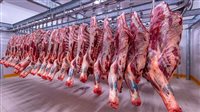 أسعار اللحوم الضاني اليوم الأحد 9-6-2024 في الأسواق ومحال الجزارة بقنا